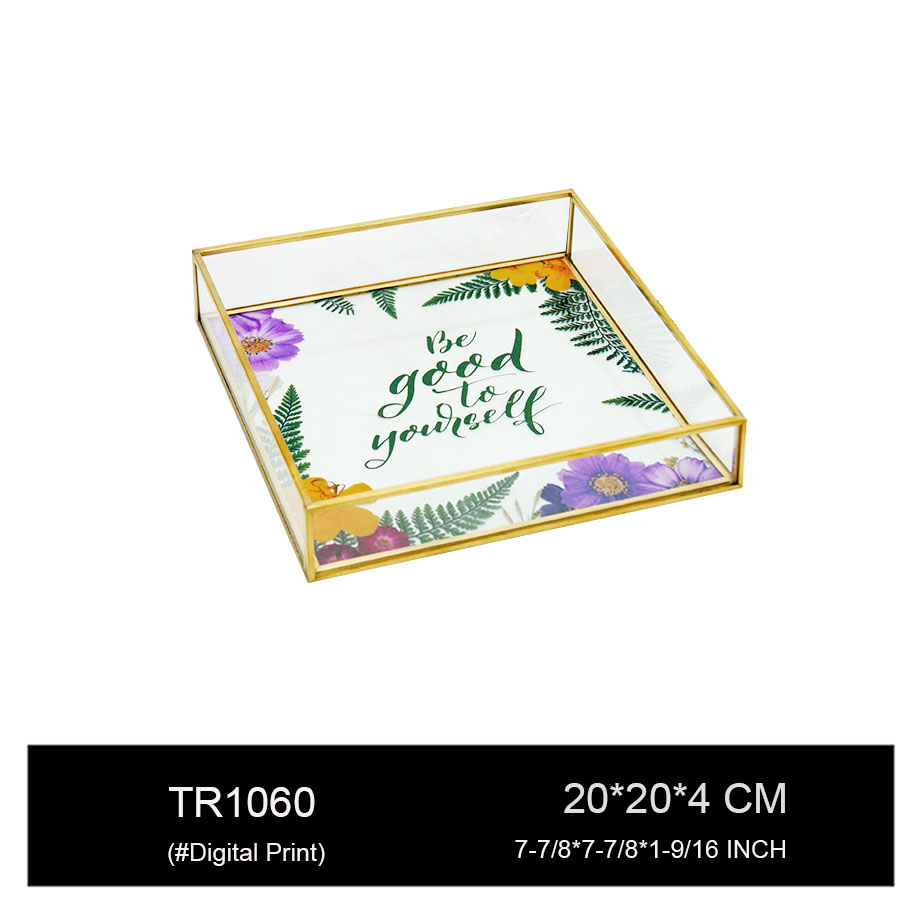 TR1060